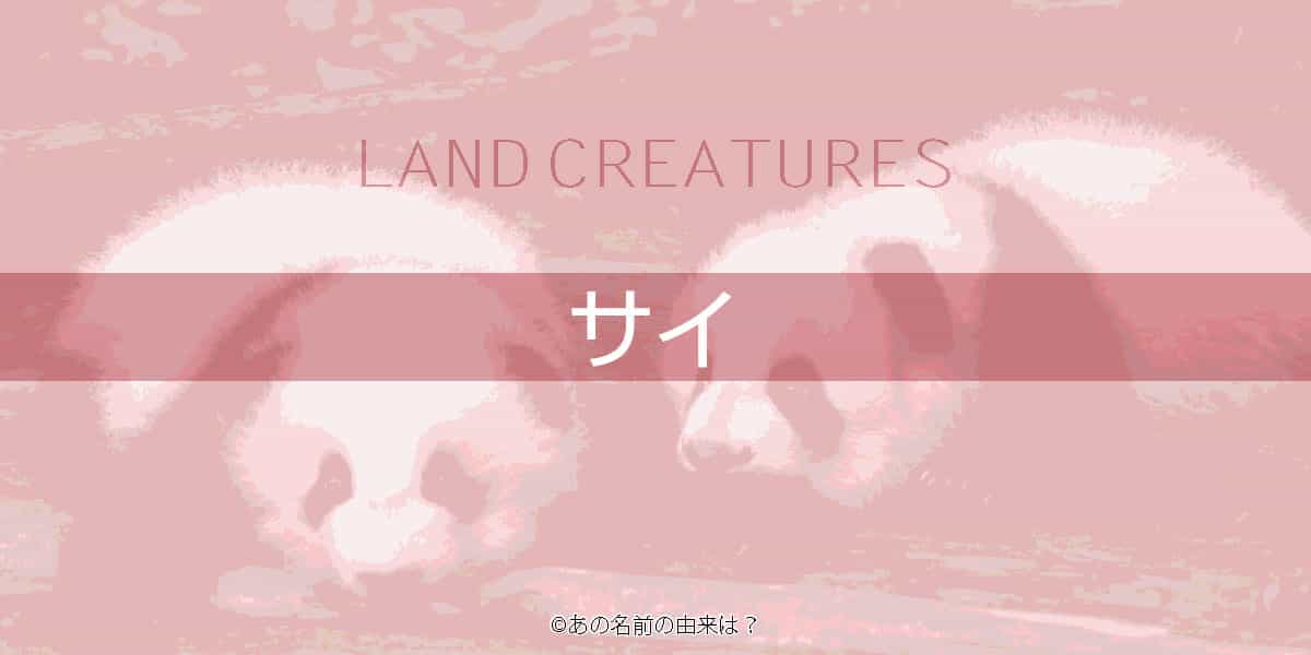 サイの名前の由来は ツノと鎧に覆われたクールな動物の語源 動物園で見られる動物 Quiz あの名前の由来は