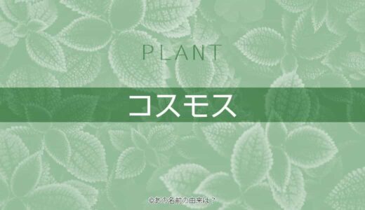 タンポポの名前の由来は ダンデライオンと異なる日本古来の語源 植物の名前の由来 Quiz あの名前の由来は