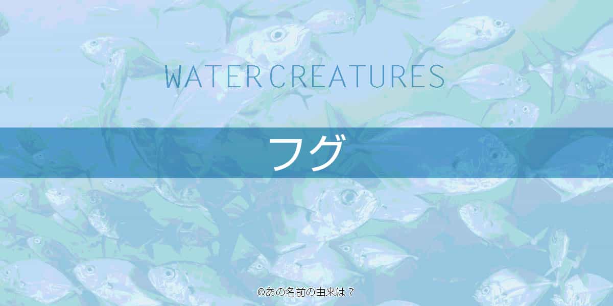フグの名前の由来は 刺身が美味 関西ではなぜてっさと呼ぶ 釣れば外道の魚類 Quiz あの名前の由来は