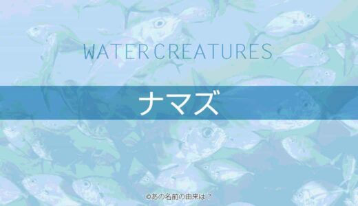 カレイの名前の由来は 煮付けや揚げ物が美味しい平べったい魚 魚の語源の秘密 Quiz あの名前の由来は